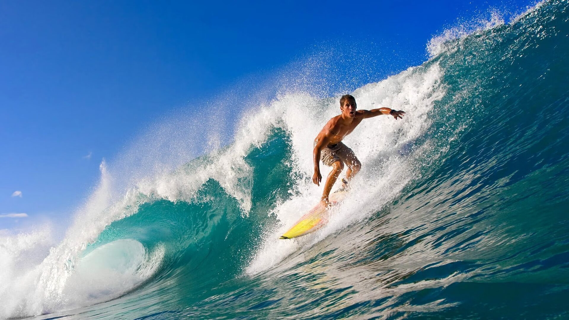 世界杯赛场医护支持体系揭秘,世界卫生组织医护比