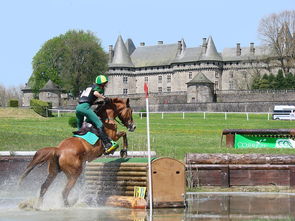 mk体育官网-苏格兰橄榄球在欧洲赛事中的市场影响力提升，苏格兰有什么体育项目